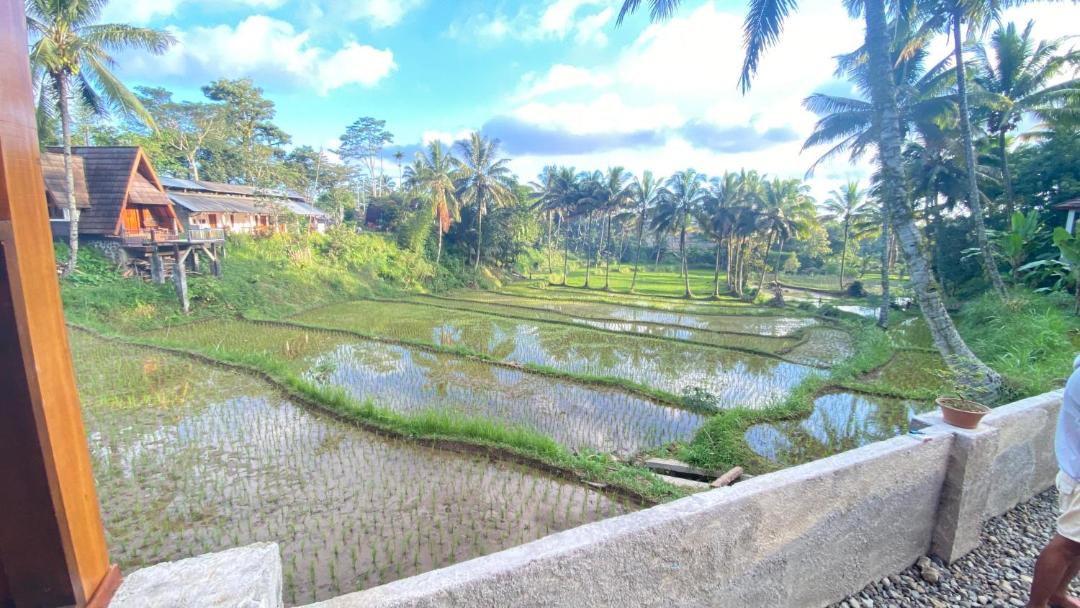 Photo of Others in Tetebatu