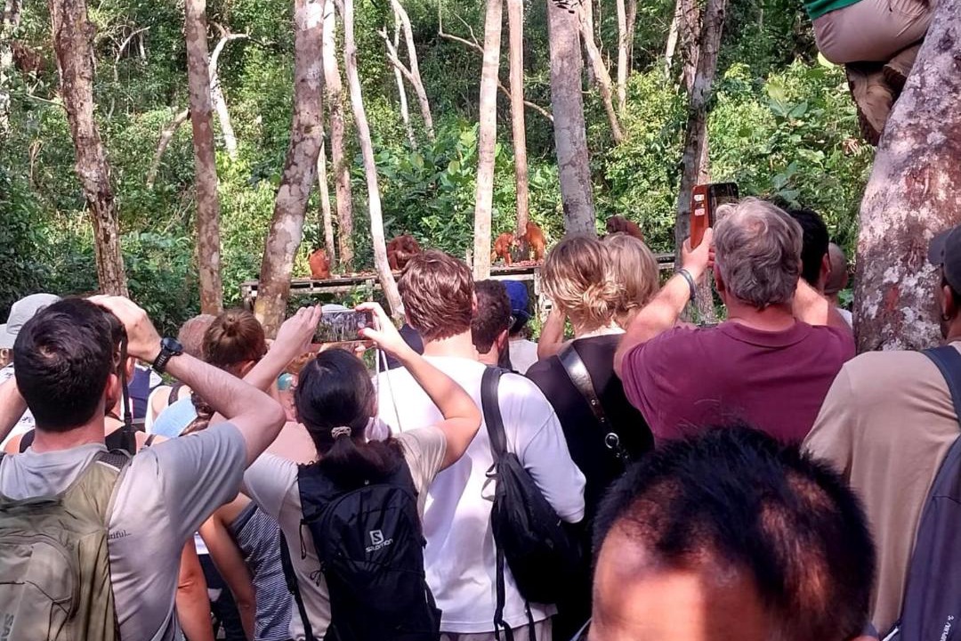 Photo of Others in Kumai