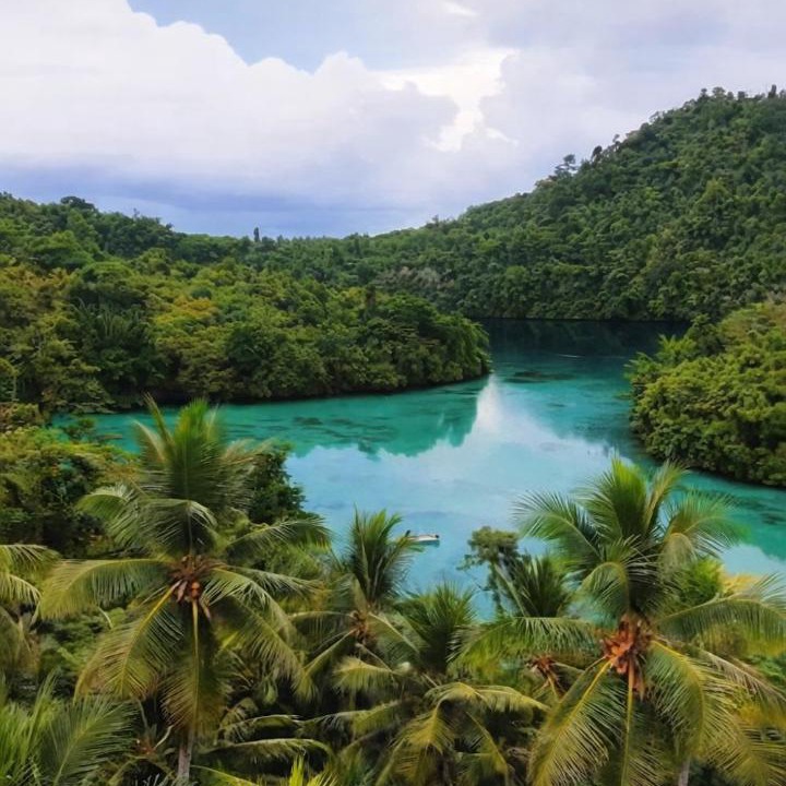 Photo of Others in Banggai
