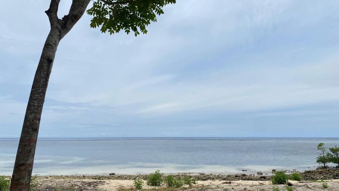 Photo of Others in Sulawesi