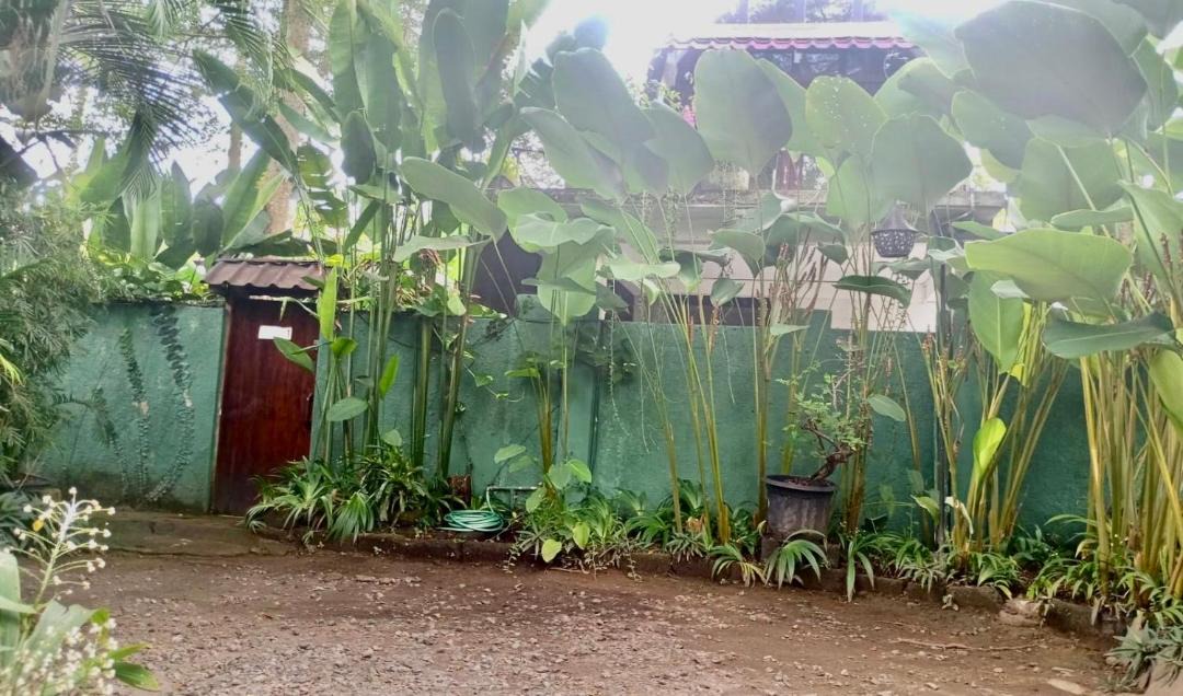 Photo of Others in Lodtunduh