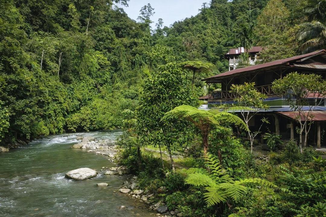 Photo of Others in Bukit Lawang