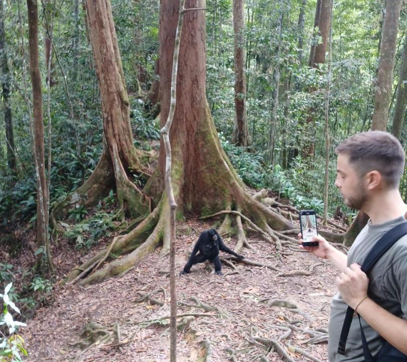Photo of Others in Bukit Lawang