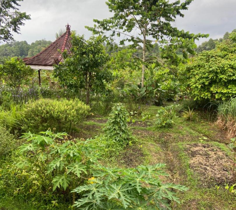 Photo of Others in Munduk