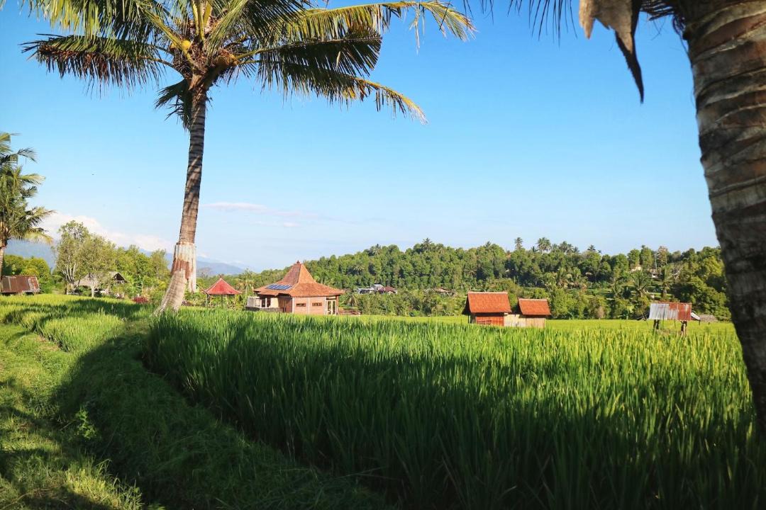 Photo of Others in Munduk