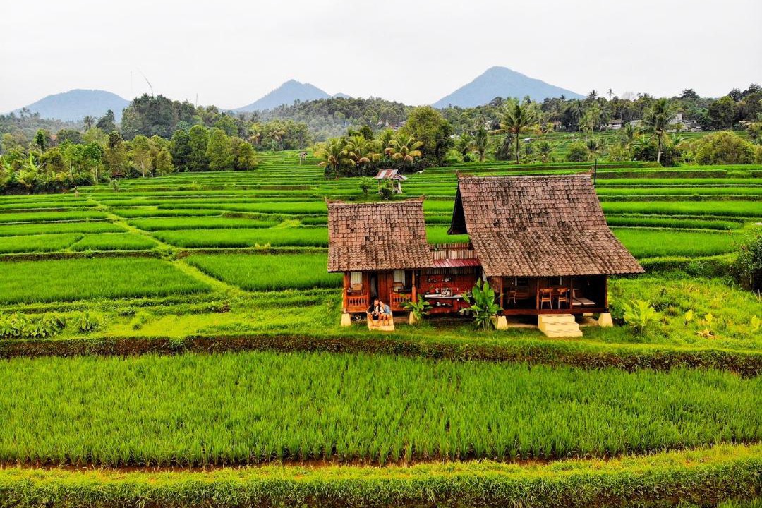 Photo of Others in Munduk