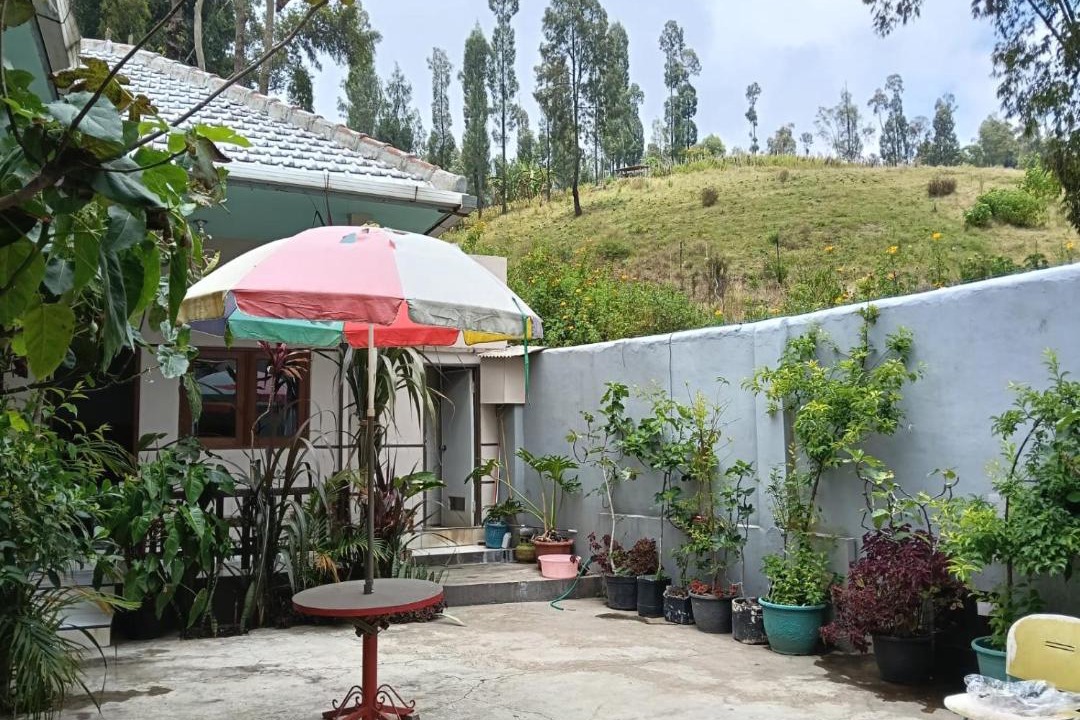 Photo of Others in Ngadisari