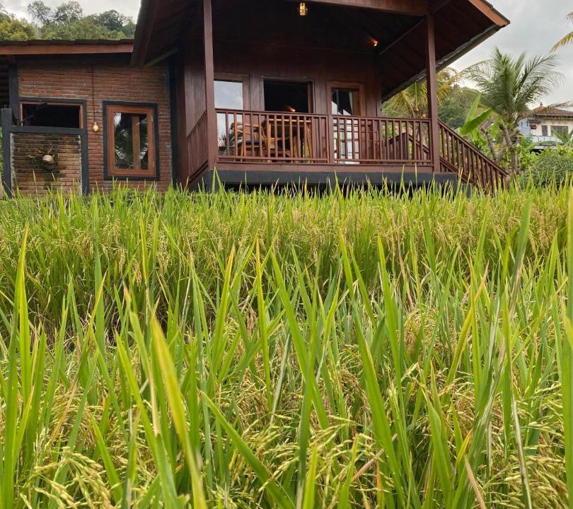 Photo of Others in Munduk