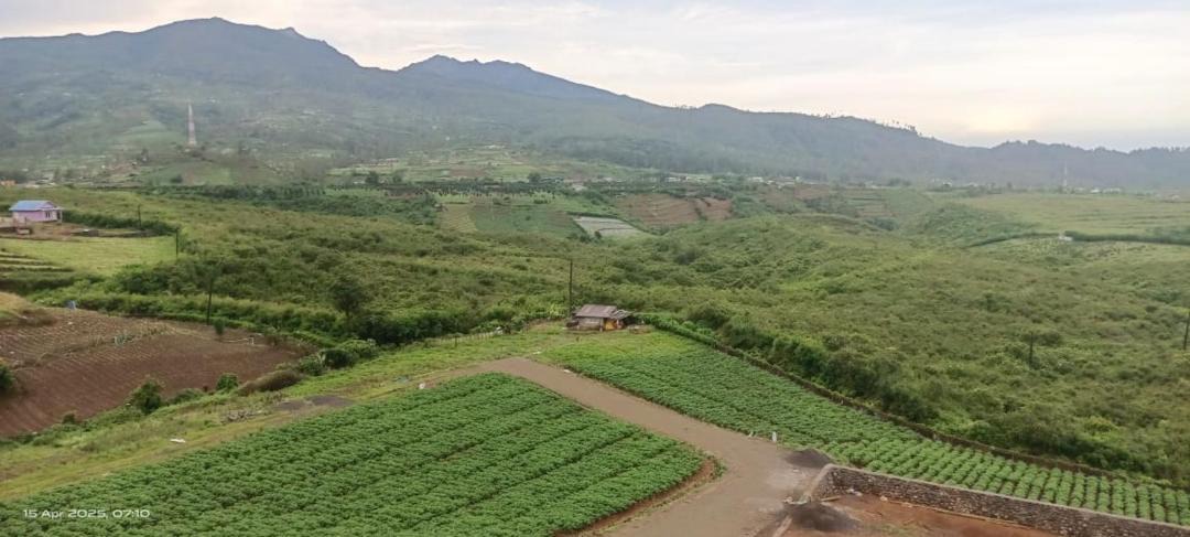 Photo of Others in Tinggimoncong