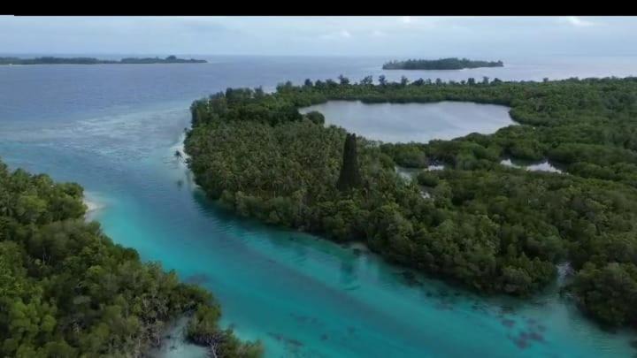 Photo of Others in Raja Ampat