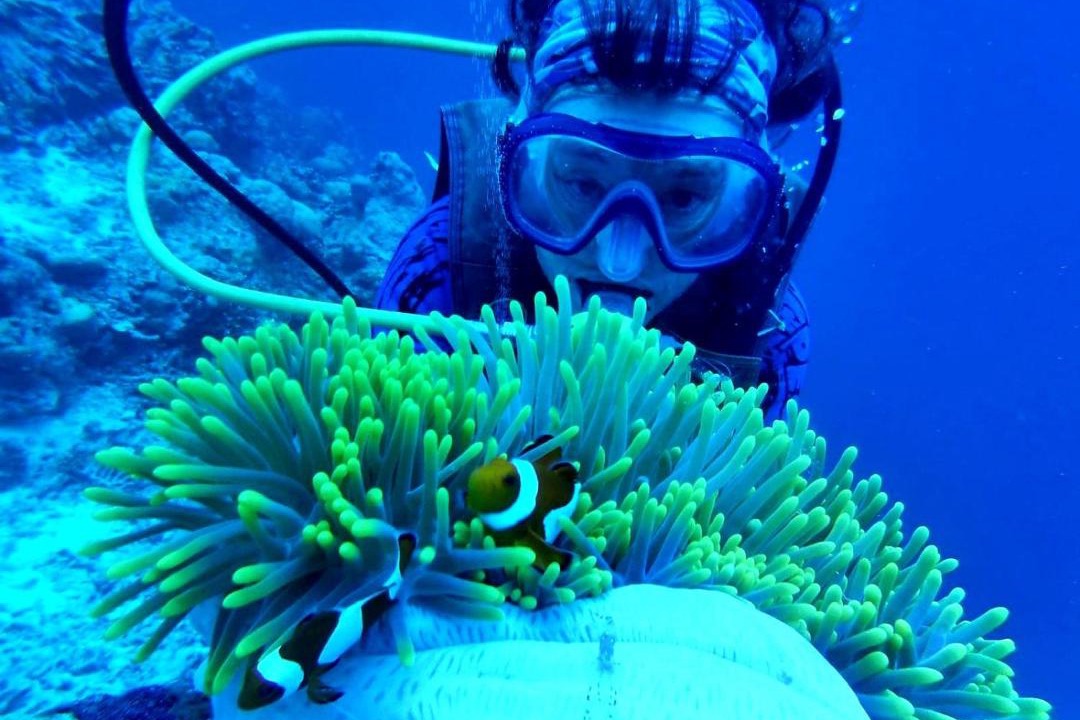 Photo of Others in Hoga Island