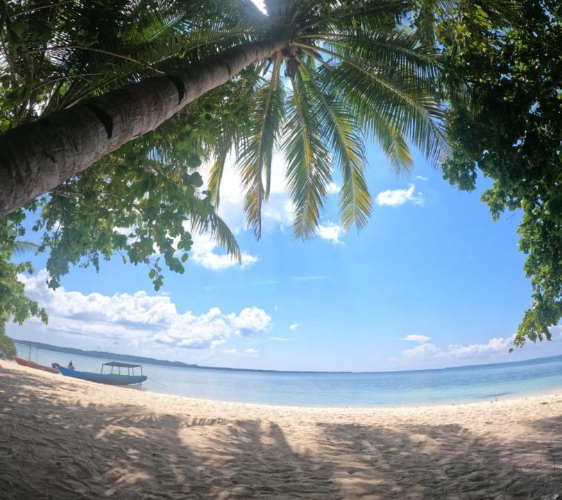 Photo of Others in Hoga Island