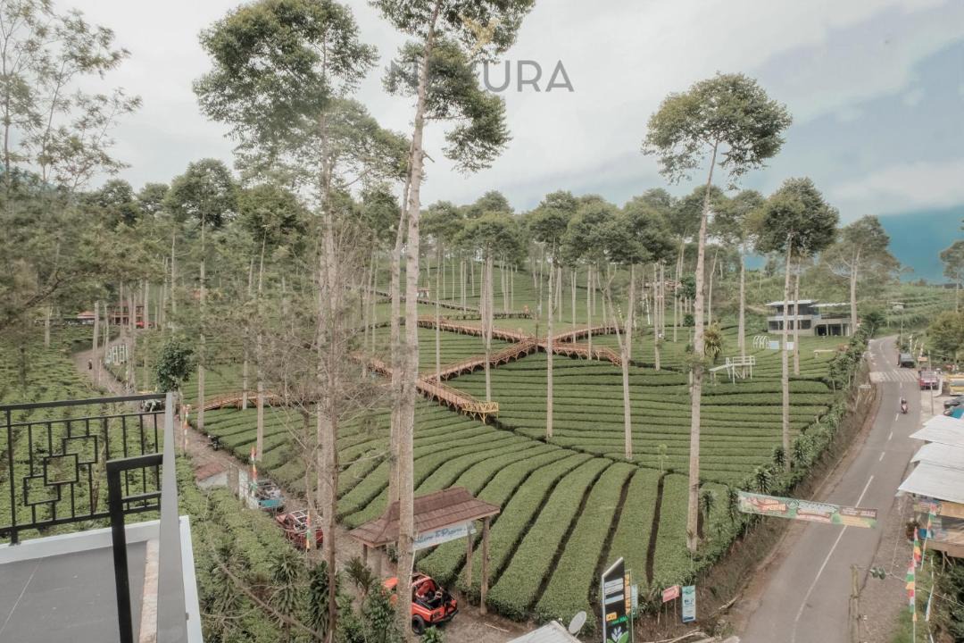 Photo of Others in Wonosobo