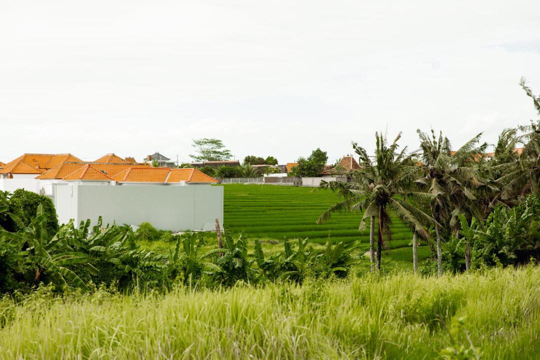 Photo of Others in Munggu