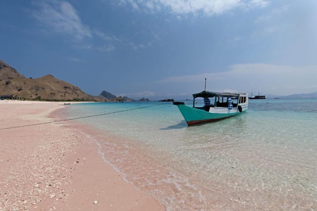 Photo of Others in Komodo