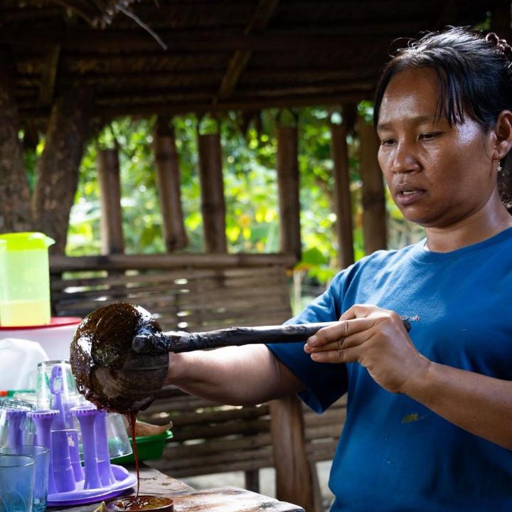 Photo of Others in Bukit Lawang