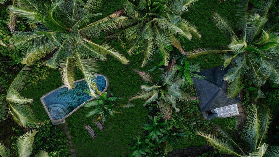 Photo of Others in East Selemadeg