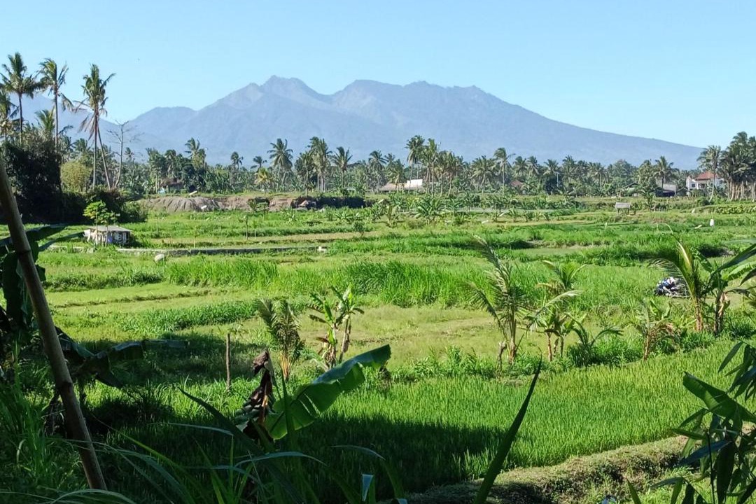 Photo of Others in Kotaraja