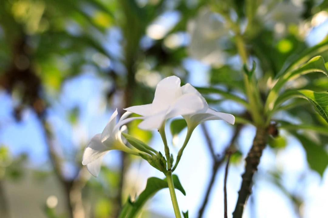 Photo of Outdoor in Siligita