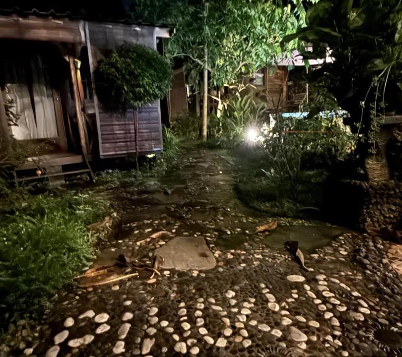Photo of Others in Bukit