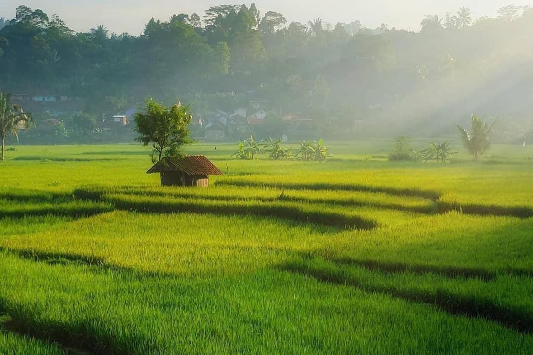 Photo of Others in Kecamatan Pringgasela