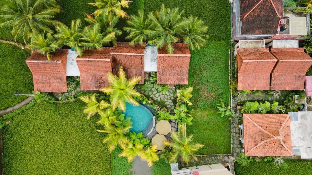 Photo of Others in Ubud
