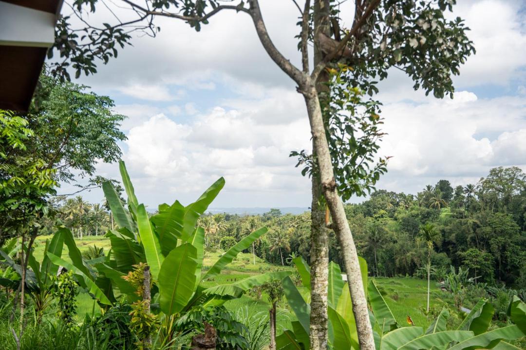 Photo of Others in Tetebatu