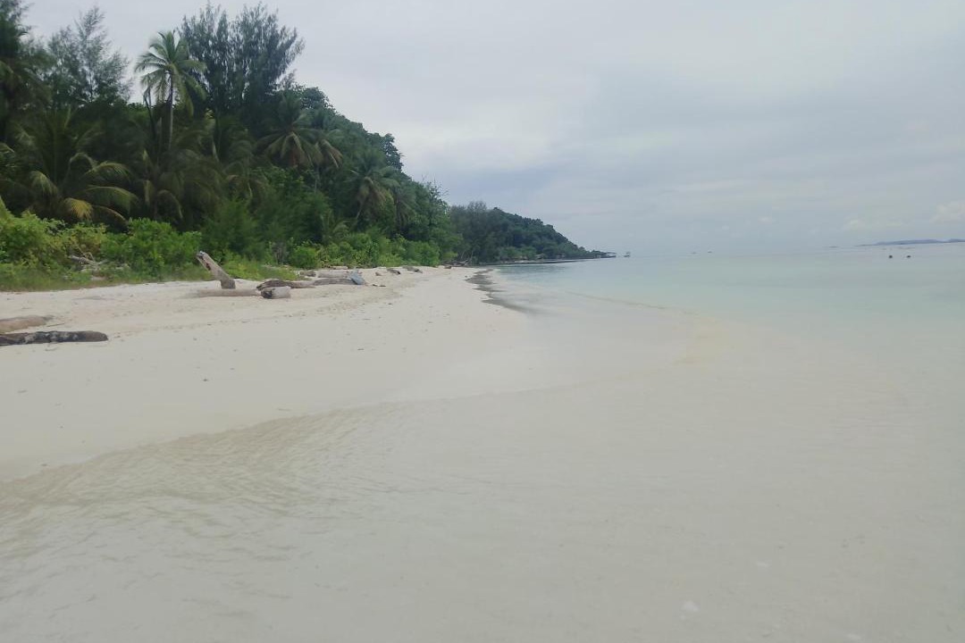 Photo of Others in Raja Ampat