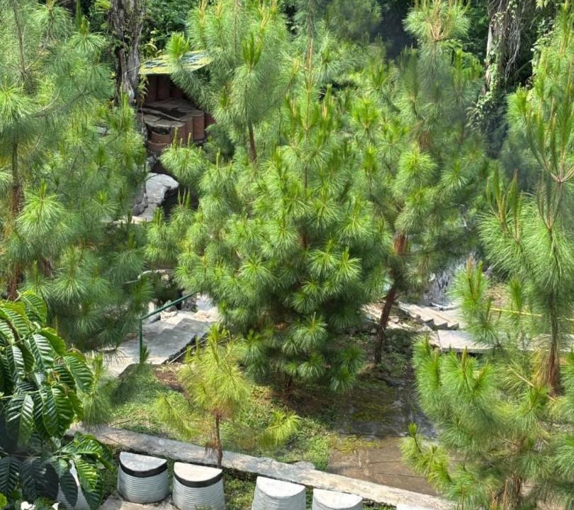 Photo of Others in Rendeh