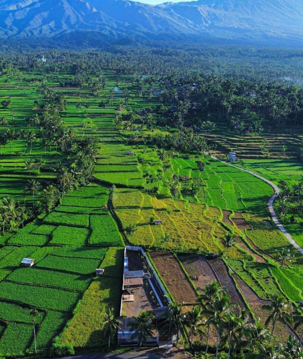 Photo of Others in Kecamatan Pringgasela