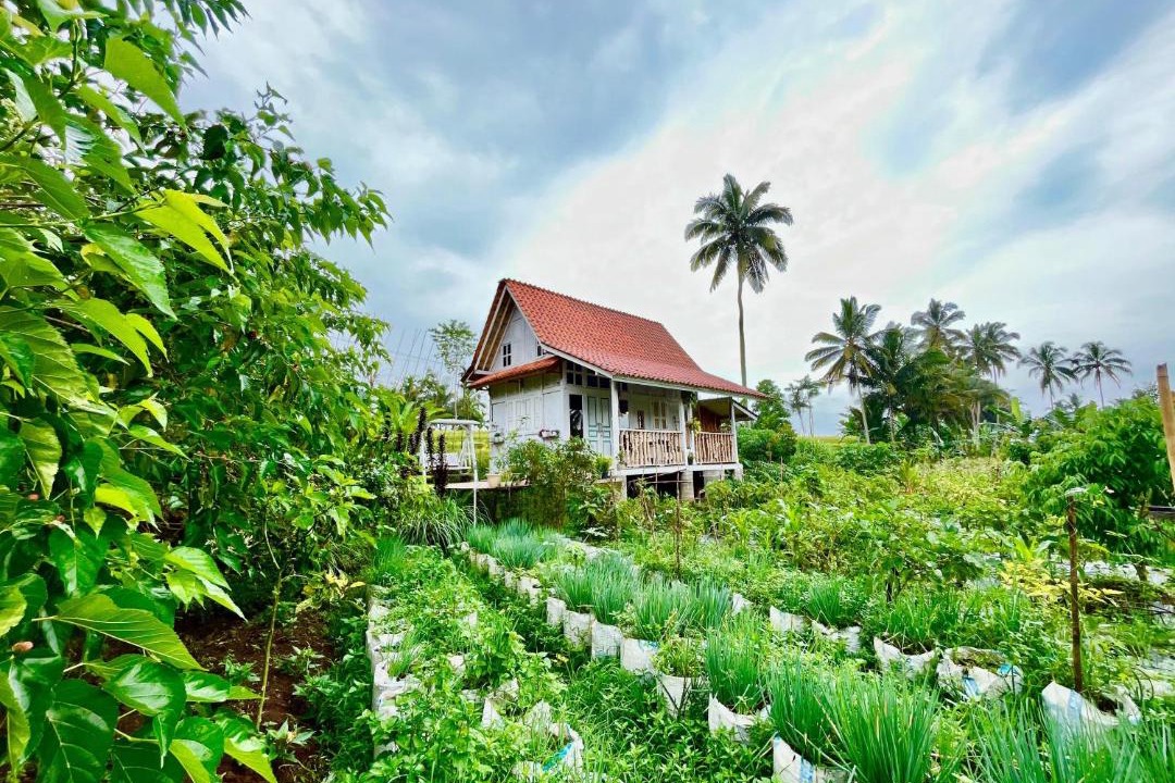 Photo of Others in Banyuwangi