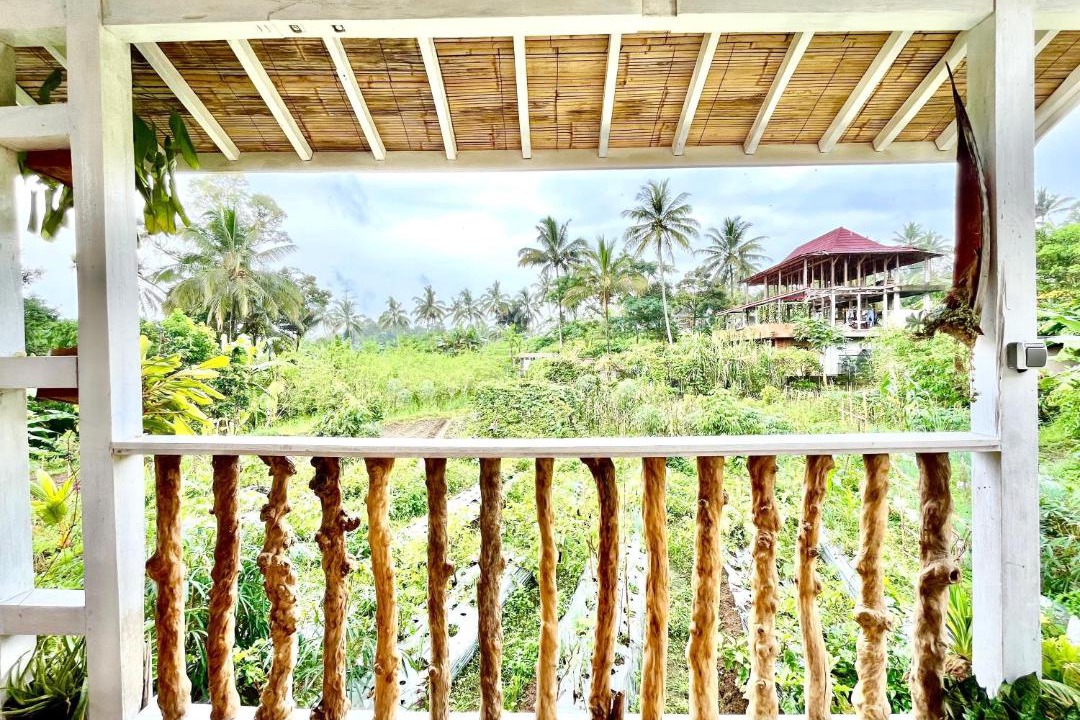 Photo of Others in Banyuwangi