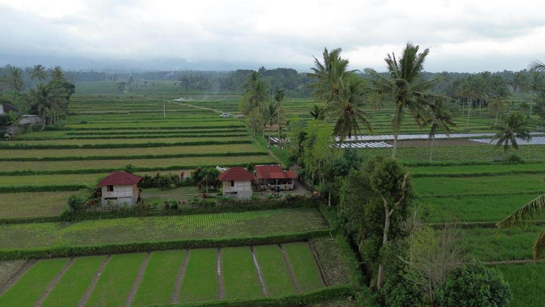 Photo of Others in Kotaraja