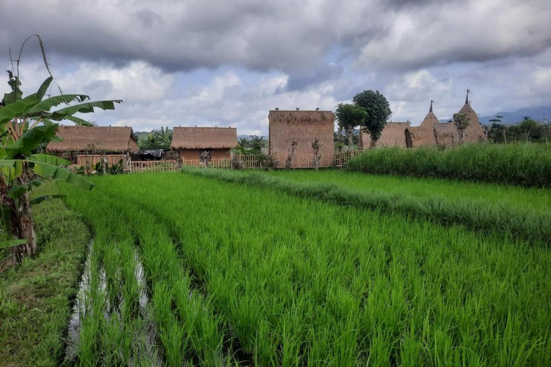Photo of Others in Abang