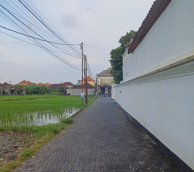 Photo of Others in Batubulan