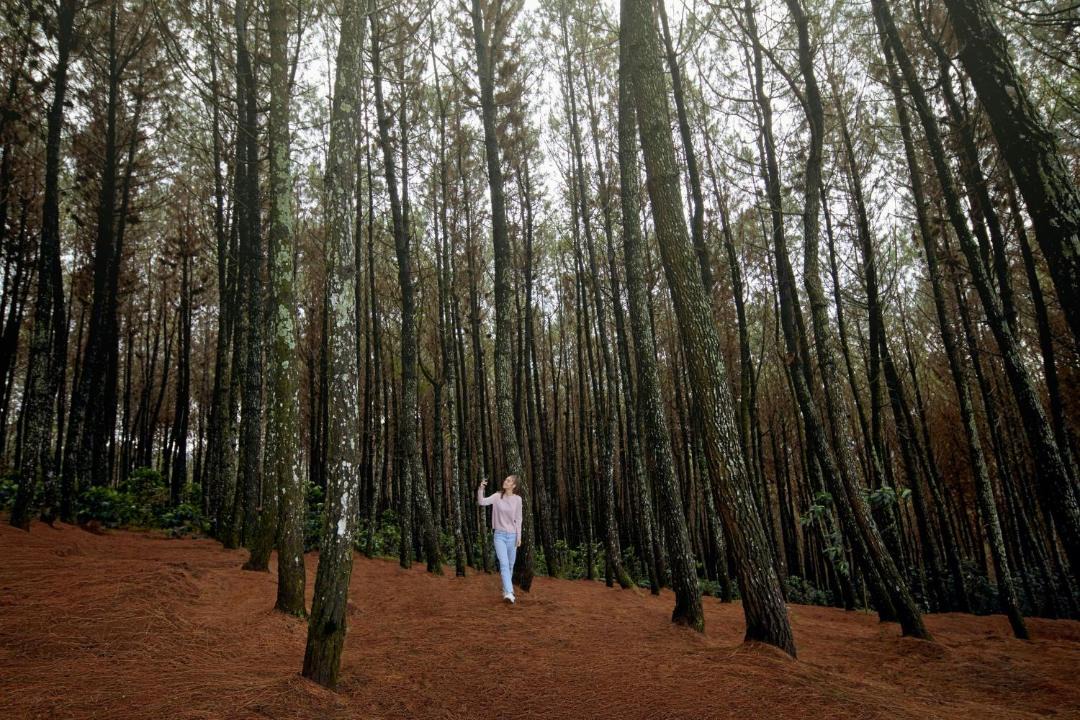 Photo of Others in Bandung