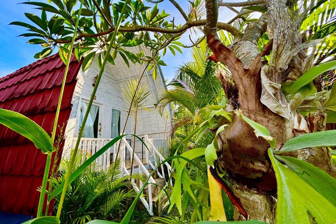 Photo of Others in Penida Island