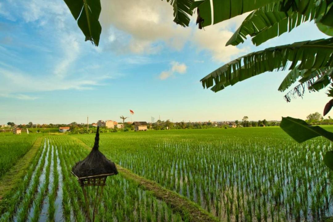 Photo of Others in Canggu