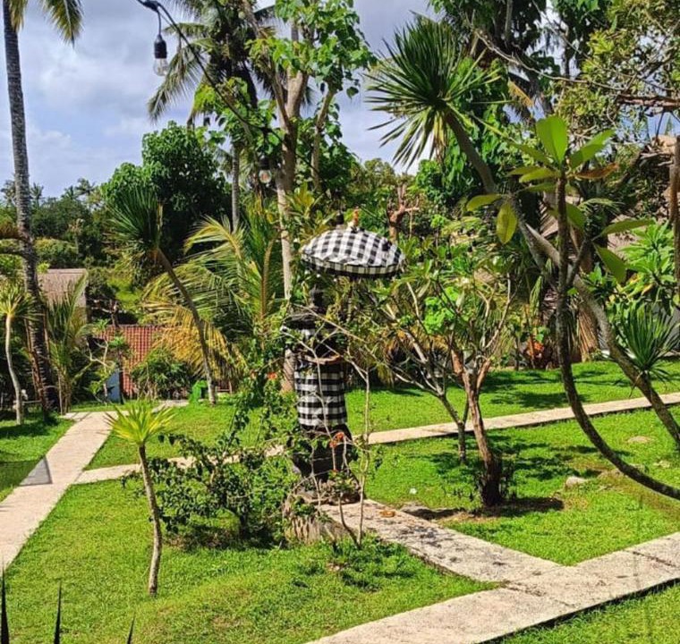 Photo of Others in Penida Island
