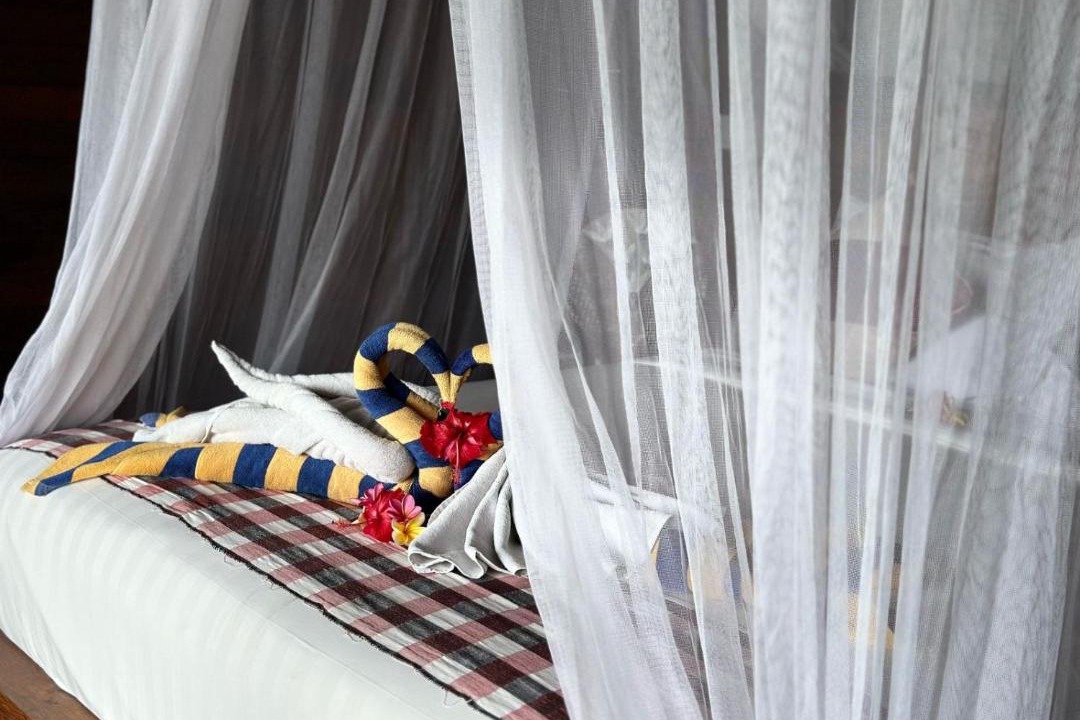 Photo of Others in Mushroom Bay