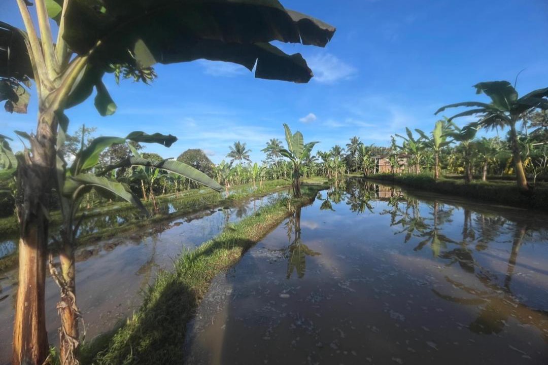 Photo of Others in Kecamatan Pringgasela