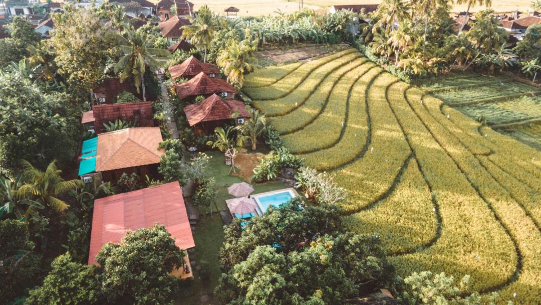 Photo of Others in Kerambitan