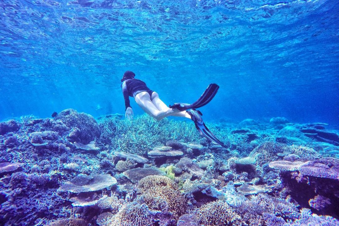 Photo of Others in Batudaka Island