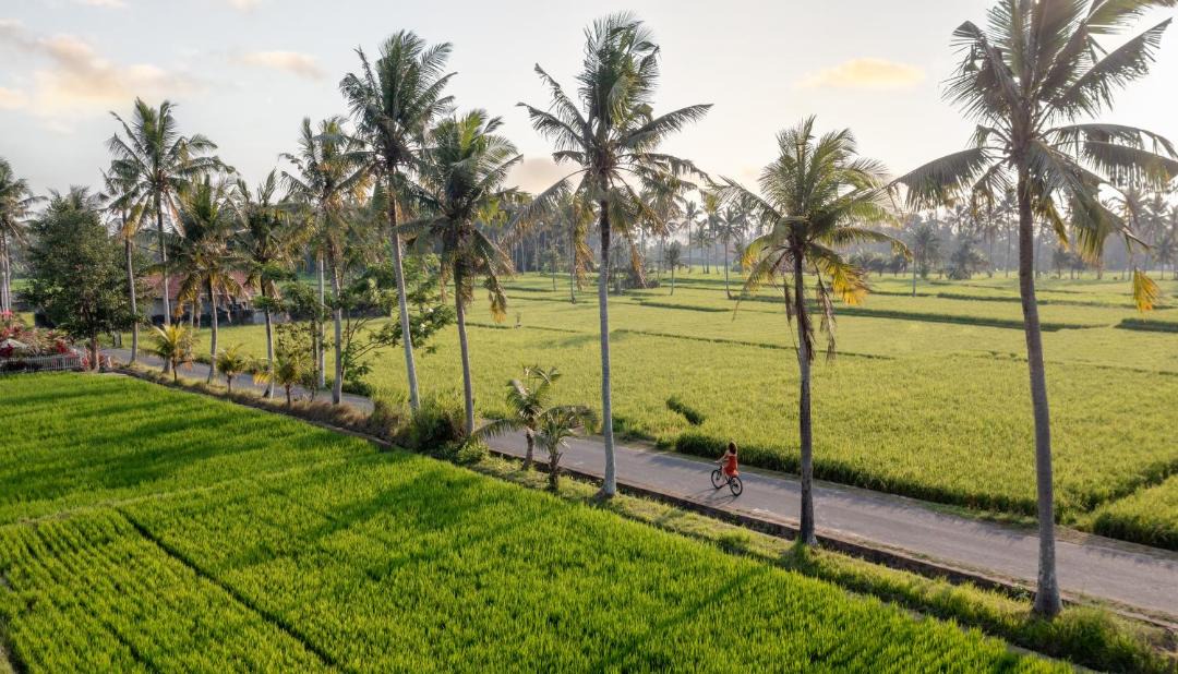 Photo of Others in Kemenuh