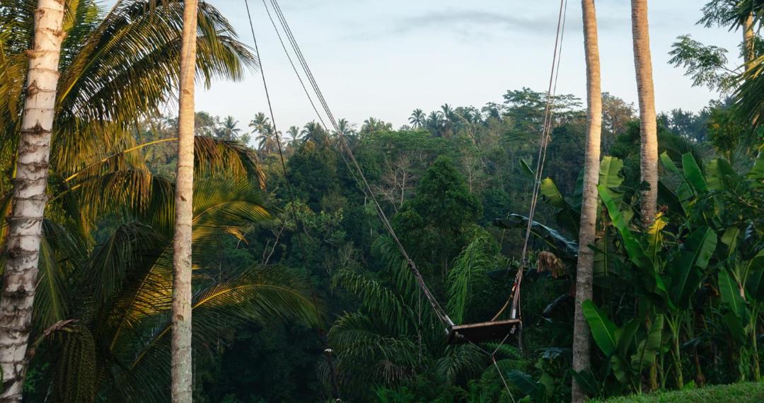 Photo of Others in Tegallalang