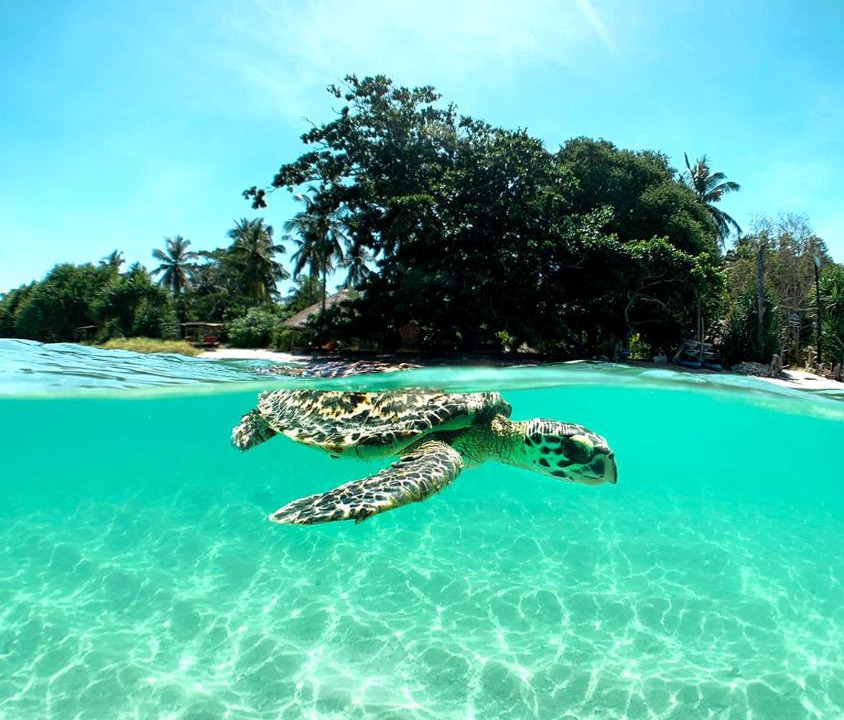 Photo of Others in P. Gili Asahan