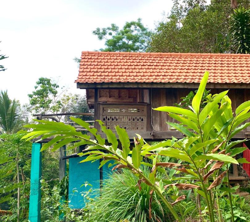 Photo of Others in Kubutambahan