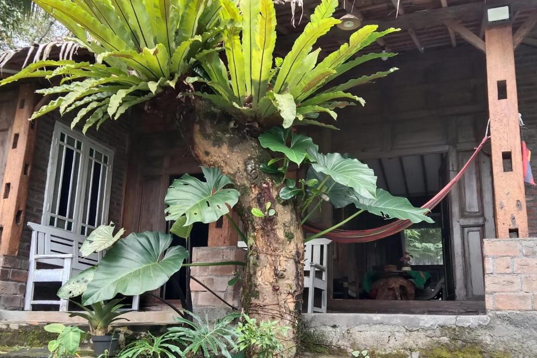 Photo of Others in Pakem