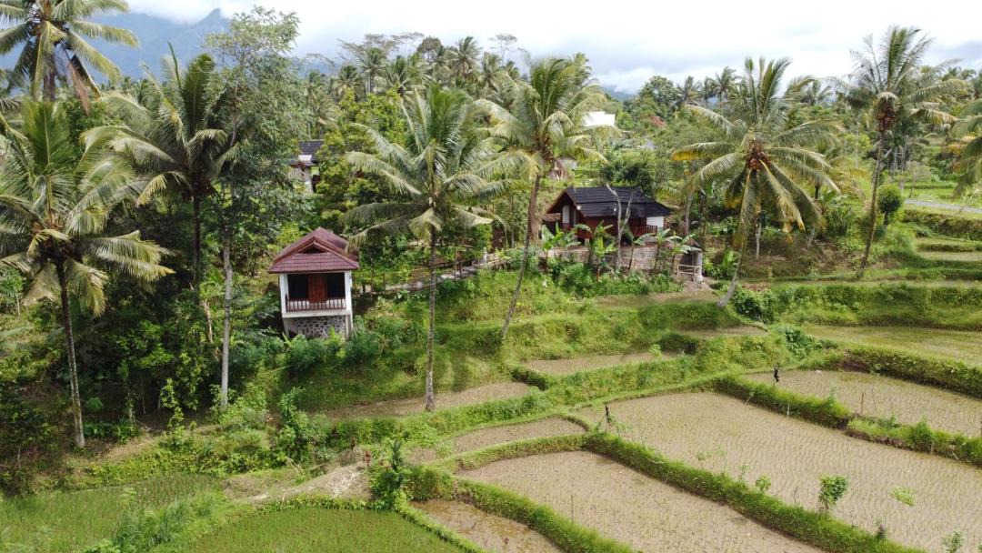 Photo of Others in Tetebatu