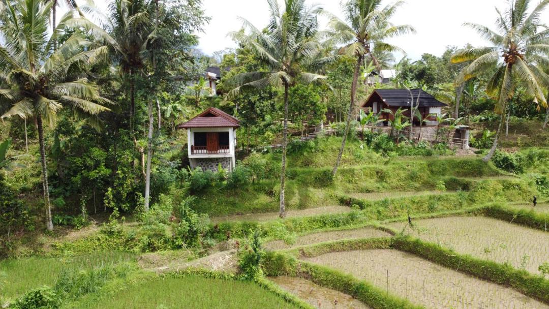 Photo of Others in Tetebatu